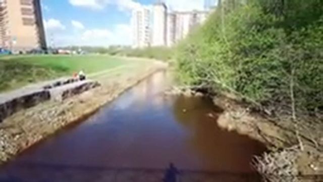 Центральное Мурино. Правый берег. Санкт-Петербург. Central Murino. Right bank. St. Petersburg. смотреть онлайн