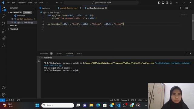 Python Function смотреть онлайн