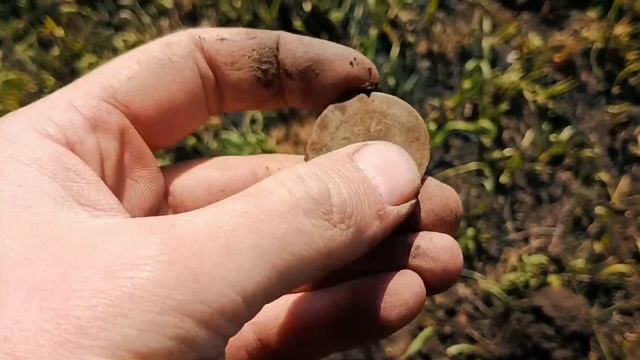 Собрались компанией на коп. (720p).mp4 смотреть онлайн