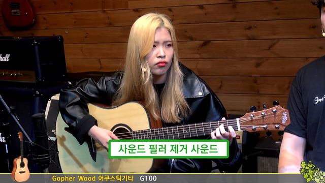 Gopherwood 어쿠스틱기타 G100