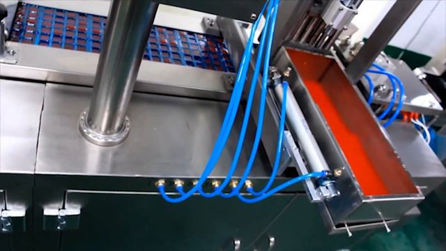 🔥Blister Packing Machine for bloodworms RW 14 main video Minipress.ru смотреть онлайн