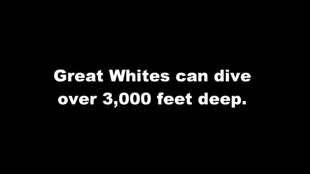 Great White Sharks - Sweet Disposition смотреть онлайн