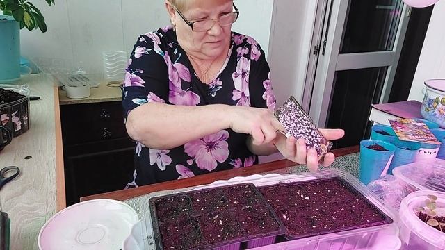 #Лобелия#кустовая#ривьера#блю#сплэш#посев. смотреть онлайн