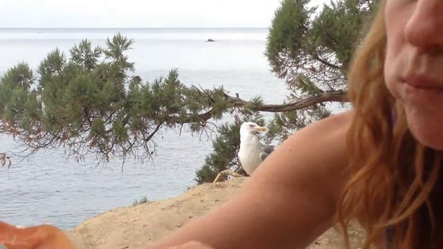 Мыс Айя. Крым смотреть онлайн