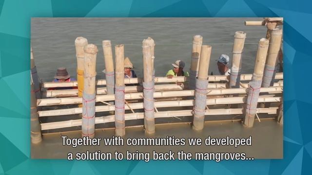 How can you save mangroves on Java? This #NatureBasedSolution helped locals adapt to climate change смотреть онлайн