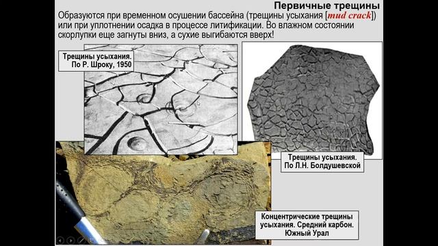 Тевелев А. В. - Структурная геология и геологическое картирование. Часть 1 - Лекция 2 смотреть онлайн
