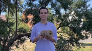 Какую бельевую веревку лучше выбрать?