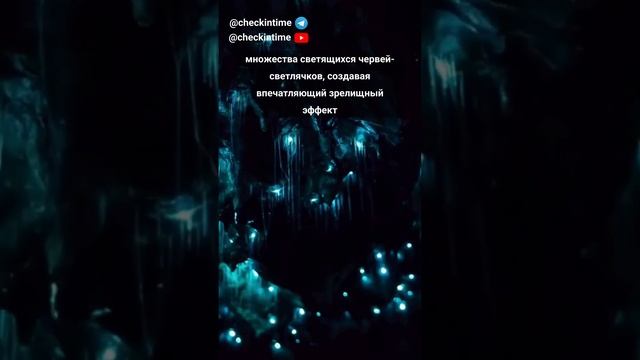 Новая Зеландия, светящиеся пещеры Вайтомо #shorts смотреть онлайн