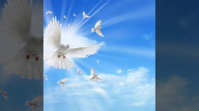 Виктор Петлюра и Аня Воробей **Голуби ** смотреть онлайн