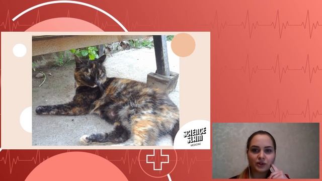 Science Slam Medicine – Мария Филатова смотреть онлайн