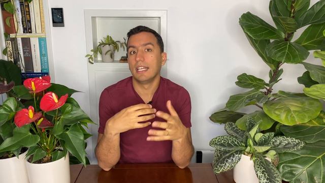 Why are my Anthurium Flowers Turning Green? | Ep5 Anthurium FAQ Series смотреть онлайн