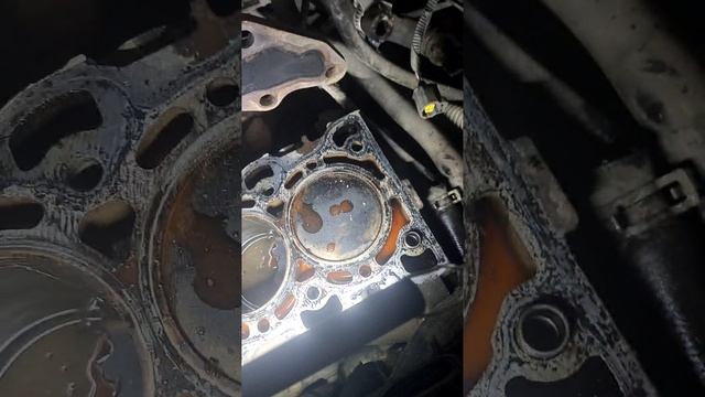 форд фокус 2,гидроудар