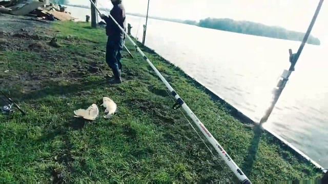 Eric and Tim 🐟 at fox lake смотреть онлайн