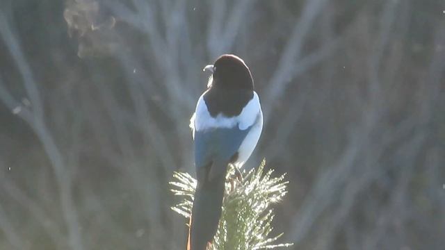 № 2112 07. 04. 2022 Последний мороз смотреть онлайн