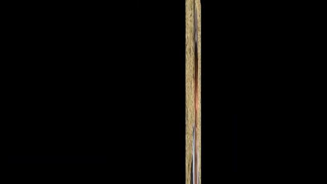 Празднование Пасхи в 2017 году смотреть онлайн