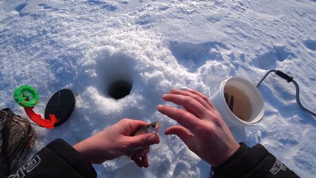 ПОПАЛ НА ЖОР ПЛОТВЫ!!! Рыбачим в палатке, озеро Безкамышное! Лайфхаки с печкой! смотреть онлайн