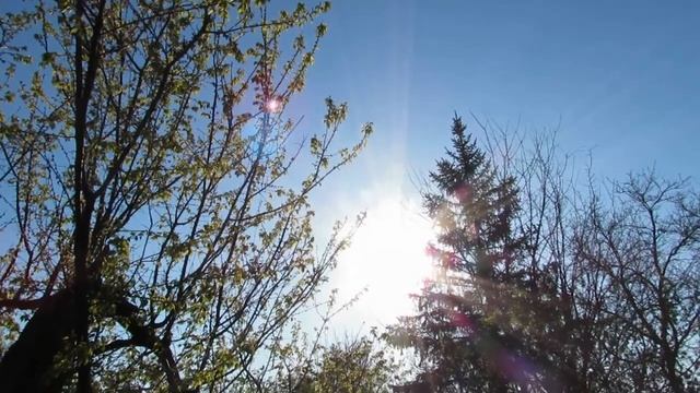 Большой сдвиг. Новый рассвет. смотреть онлайн