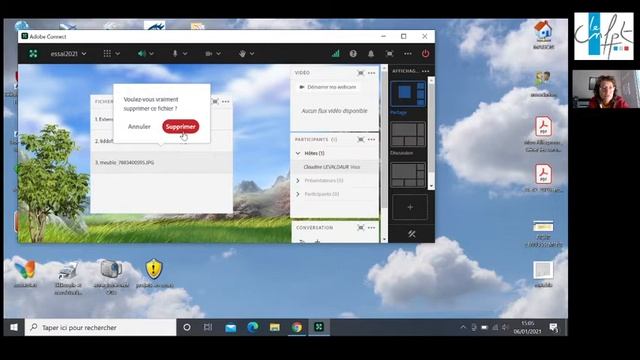 module fichier et lien web sous la vue standard d'Adobe connect смотреть онлайн