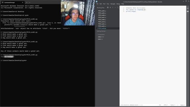 Learn Python With Me: PCC4 Example 03 смотреть онлайн