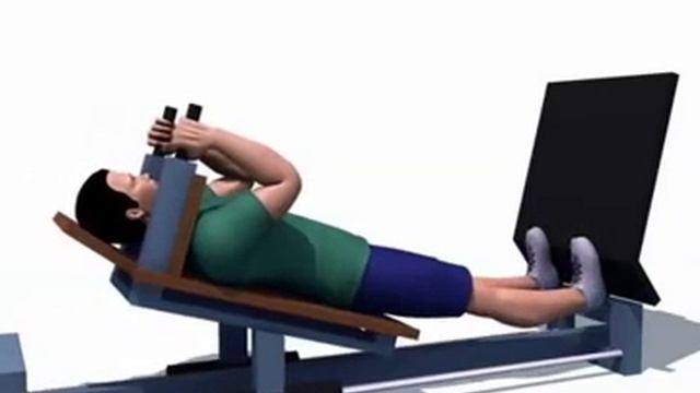 Подъем на носки в горизонтальном тренажере для жима ногами смотреть онлайн