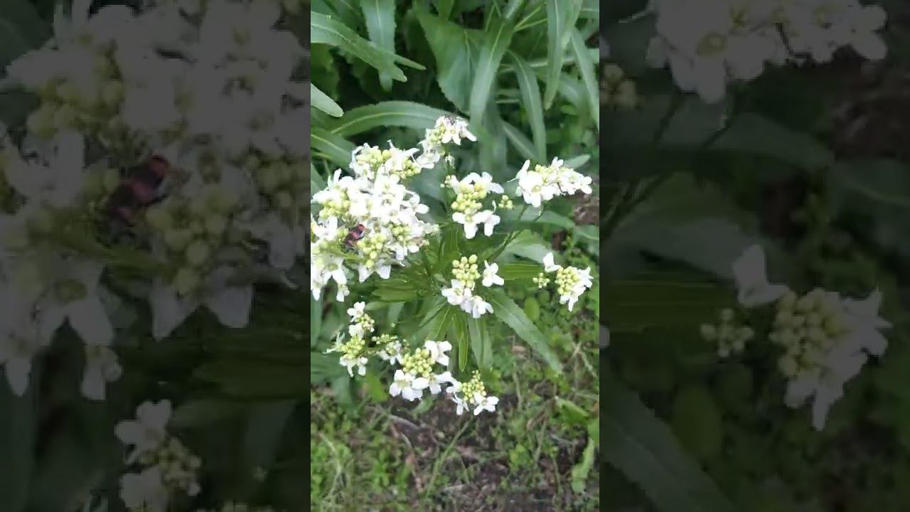 19 июня 2022 г. смотреть онлайн