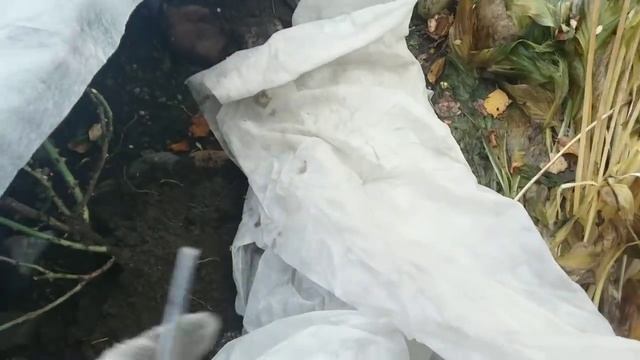 Зимняя квартира для роз,или окончательный вариант укрытия смотреть онлайн