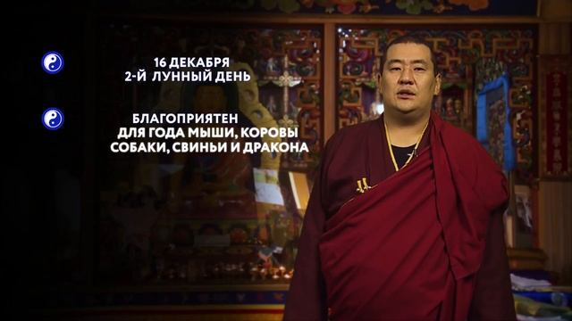 ЗУРХАЙ на 16.12.2020 смотреть онлайн