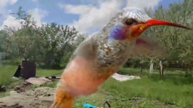 РЕЖИМ САМОИЗОЛЯЦИИ ОСЛАБЛЕН / ТОП ВИДЕО КАК ПРИГОТОВИТЬ ШАШЛЫКИ НА ПРИРОДЕ / ГОТОВИМ СВОИМИ РУКАМИ смотреть онлайн