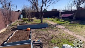 Дачный участок 4 сотки. Что на нем растет и как все расположено_54