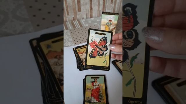 Цыганский оракул. оракул Сибилла. обзор колоды, значение карт смотреть онлайн