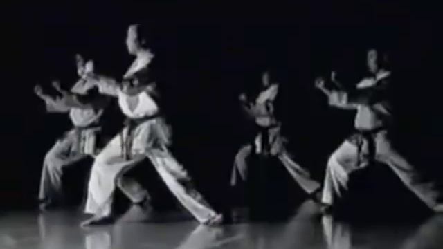 Vision du Karate au Dojo de Fondettes (37) www.asf-karate-do-37.fr смотреть онлайн