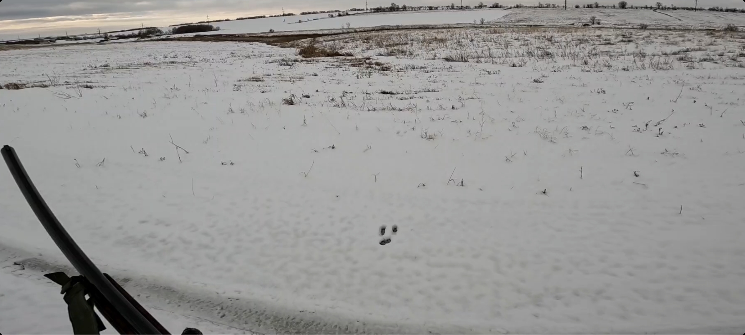 Охота на короткого зайца 2023 смотреть онлайн