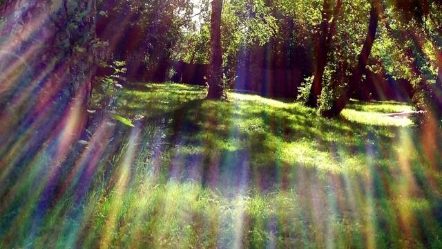 Иллюзия духовности.