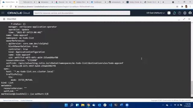 Oracle Verrazzano Tour and Demo смотреть онлайн