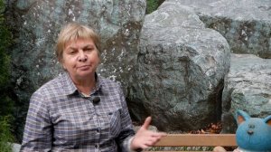 Парша на яблоне ➡ Боремся с вредоносным заболеванием