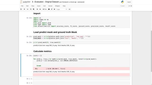 Understanding Evaluation Metrics for U-NET Testing смотреть онлайн