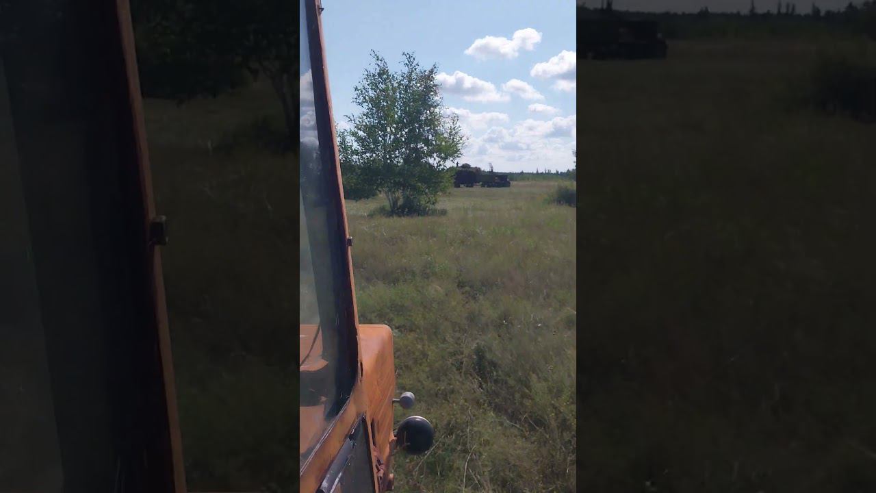 заготовка борового сена в лесах Алтая смотреть онлайн