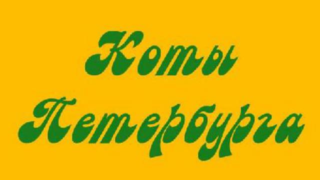 Коты Петербурга смотреть онлайн