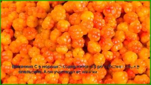 Ягода морошка —  полезные свойства и кому нельзя