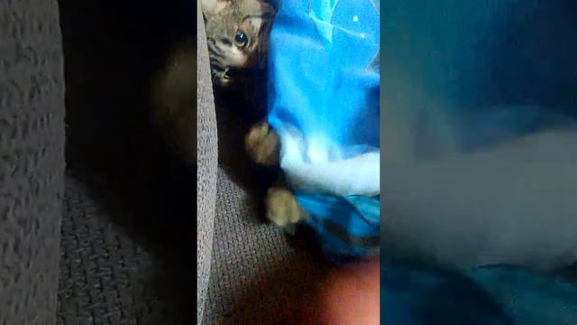 Много е игрив смотреть онлайн