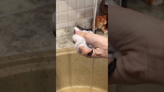 Губки для посуды на Wildberries | арт 144015309 #wildberries #находки #валдберис #бюджетныетовары смотреть онлайн