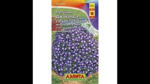 ПЕТУНИЯ серии ДЖОКОНДА. Особенности сорта. Стоит ли выращивать?