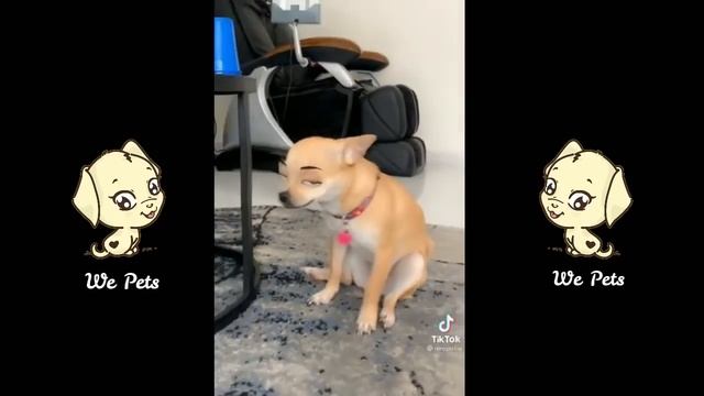 mreviatar Tiktok | Funny Tiktok angry Dogs Compilations ep2 смотреть онлайн