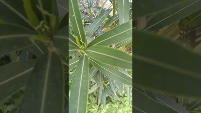 29 Nisan 2022(2) смотреть онлайн