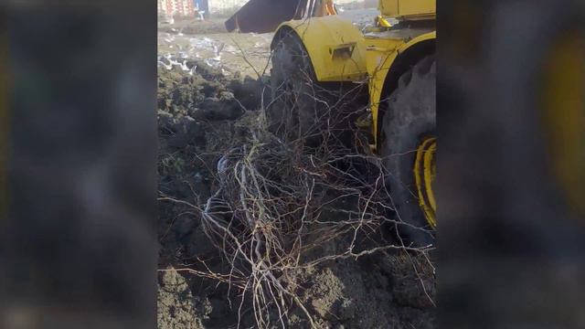 Поднятие плантажа плугом BVM 26A Raptor на New Holland T8. Агро Отчёт К(Ф)Х «Кхарл Груп» Kharl.Grou смотреть онлайн
