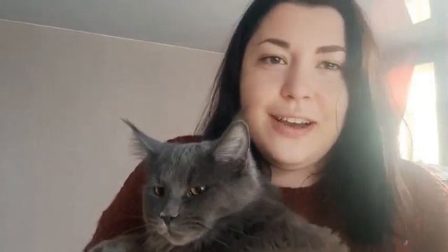 Питомник Мейн-Кунов Первое видео смотреть онлайн