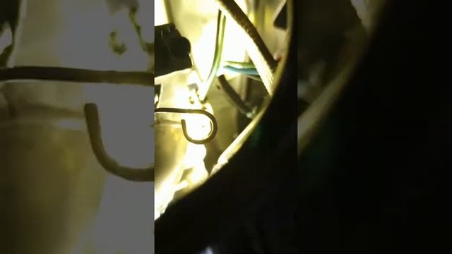 Замена лампочки ближнего света в Ниссан Серена С25, С26 Nissan Serena C25