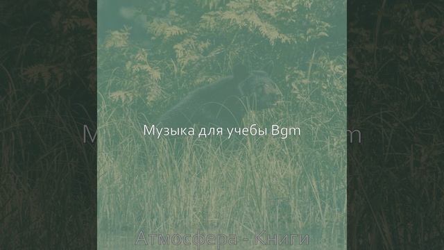 Музыка (Исследовать) смотреть онлайн