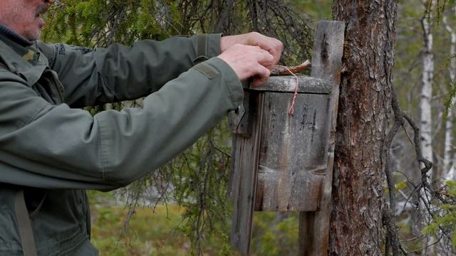Короткие истории #5. По тропкам Лапландского заповедника. смотреть онлайн
