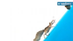 20th Century Fox Blue Sky Studios and DreamWorks Animation SKG Logo (Trolls Variant with THIS is HA